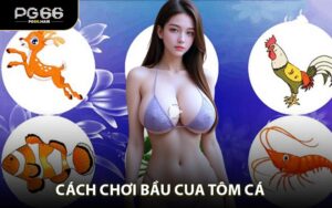 Cách Chơi Bầu Cua Tôm Cá - Chiến Thuật Giúp Tối Đa Cơ Hội Thắng