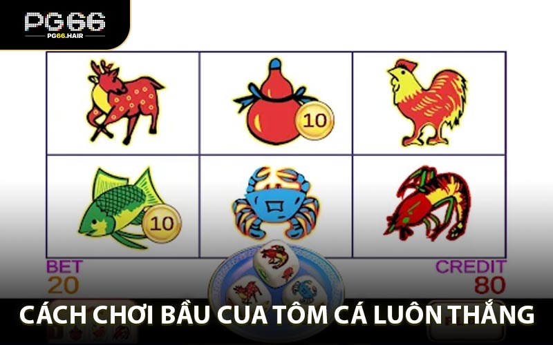 Cách chơi bầu cua tôm cá luôn thắng trên mọi mặt trận